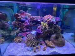 -上海海洋水族馆