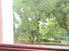 -橘洲1910花园江景西餐厅