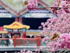 -颐和园