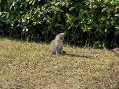 -小乐荟私房菜(宁海里店)