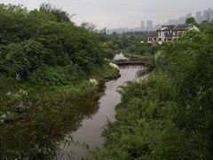 -张坝桂圆林公园