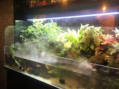 -牛品福潮汕牛肉火锅(旺庄店)