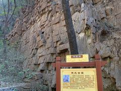 -老象峰