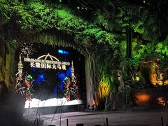 -广州长隆国际大马戏