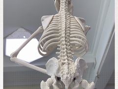 -中田健身工作室(东园店)