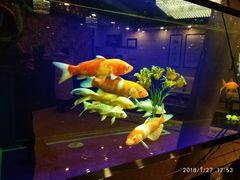 -五大龙池温泉宝石浴(繁荣店)