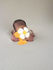 -西瓜庄园儿童摄影