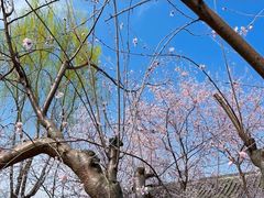 -三里河公园