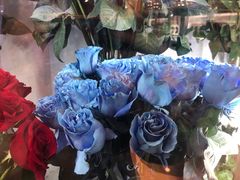 -ROSEONLY诺誓(国际广场购物中心店)