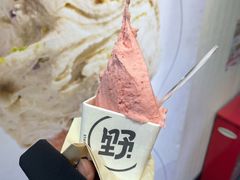 -野人先生现做冰淇淋(北京顺义祥云小镇店)