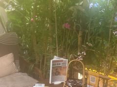 -施奈儿.洗头頭療.按摩SPA.采耳(上梅林店)