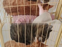 -昼夜咖啡馆