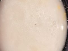-新梅园不夜粥(龙华店)