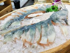 杨子江团-吃城都·鱼蛙火锅(西玉龙街店)