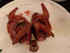 玻璃乳鸽-甄御•海鲜新青岛菜(麦岛店)