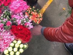 -江阴花鸟市场
