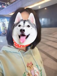 -ASG Hair Salon烫染·接发