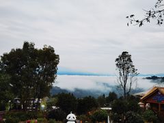 -碧峰峡风景区