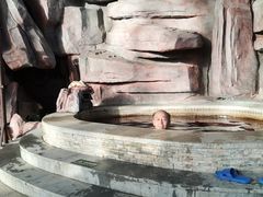 -中家鑫园温泉酒店鑫悦汤泉