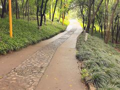 -九华山公园