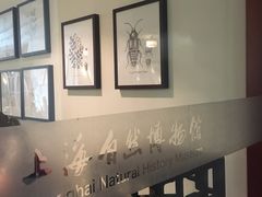 -1868 Café(上海自然博物馆店)