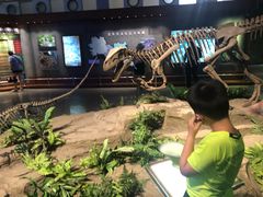 -自贡恐龙博物馆