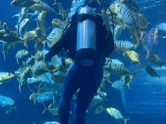 -太平洋海底世界