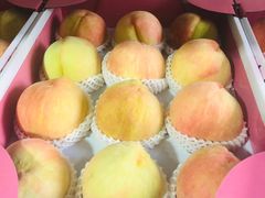 -南汇新场正宗水蜜桃采摘