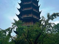 -红梅公园