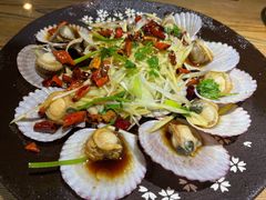 -鲁前海沿儿
