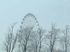 -琴岛之星摩天轮