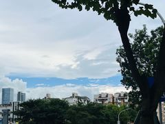 -阿婉贵州苗家酸汤鱼(梅林店)