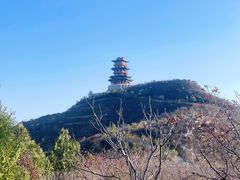 -定都阁