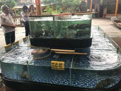 -大门水乡·顺德菜