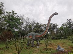 -青龙湖公园