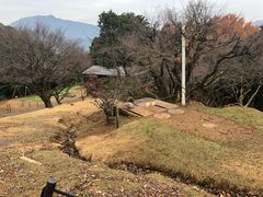-岚山猴子公园