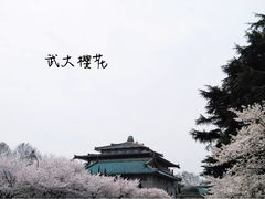 -武汉大学-樱园