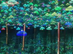 -郑州梵高星空错觉艺术馆(大上海城旗舰店)