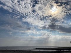 -南汇嘴观海公园