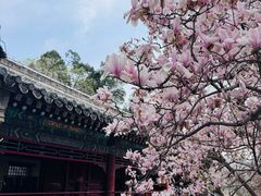 -潭柘寺景区