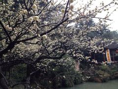iphone_upload_pic-杭州黄龙洞