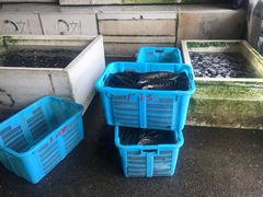 -新农都水产市场