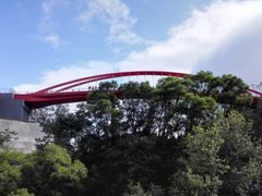 -金鸡山公园