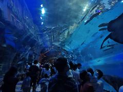 -华夏文旅海洋公园