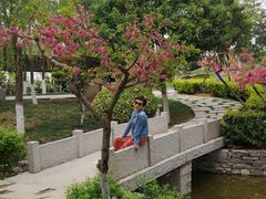 -鹦鹉寺公园