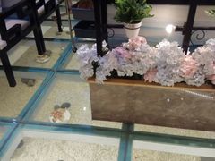 -确喜美味小厨(西单商场兰州店)