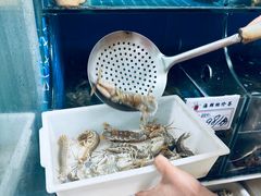 -宾朋海鲜饭庄(兴海路店)