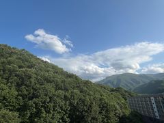 -青峰峡国家森林公园