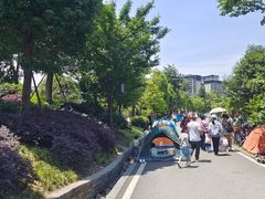 -枫香湖儿童公园