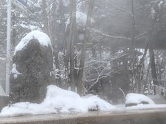 -汉拿山温泉度假酒店